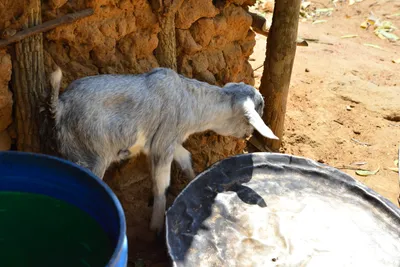 DSC_4986 (Large).JPG